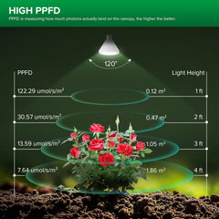 SANSI illuminating seedlings with balanced 3000K and 5000K light to support early growth