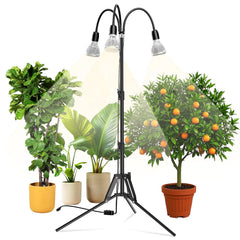SANSI tripod front view showing stable feet and three bulbs, improving coverage