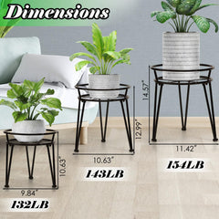 Santentre stand in use in living room improving plant arrangement and light