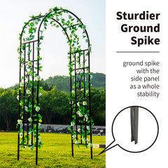 SCENDOR side profile highlighting curved top and elegant visual impact