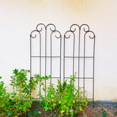 SCENDOR front view of black metal trellis showing full height and lattice benefit