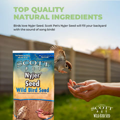 Scott Pet nyjer in sock feeder showing visible feeding activity