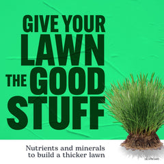 Watering lawn after Scotts application to activate nutrients quickly