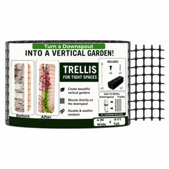 Scroll Trellis front view mounted on downspout showing neat vertical garden benefit