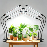 SDOVUERC front view of two grow lights showing tri-head design and controls, clear benefits