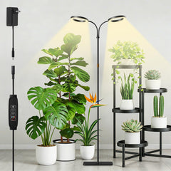 SDOVUERC front view of ring grow light showing modern design and elegant form