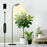SDOVUERC front view ring light showing full-spectrum LEDs and sleek design benefit: blends with home décor