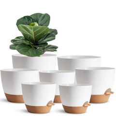 SE SUN-E front view of all seven white pots showing clean modern styling and ease