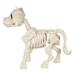 Seasons skeleton cow side profile demonstrating true-to-form silhouette and display presence