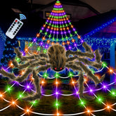 Seifar front view of illuminated spider web creating dramatic yard curb appeal