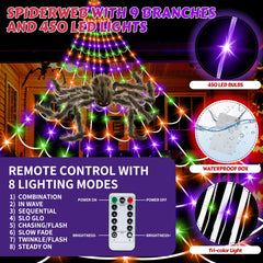 Seifar large spider prop detail adding realistic focal point to display