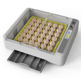 SENXINGYAN front view showing incubator and clear lid for easy monitoring