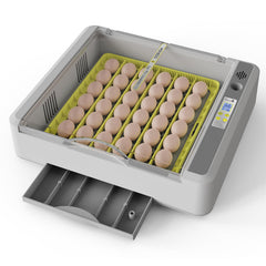 SENXINGYAN front view showing incubator and clear lid for easy monitoring