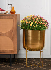 Serene Spaces Living pot placed directly on table showing grounded styling option and stability