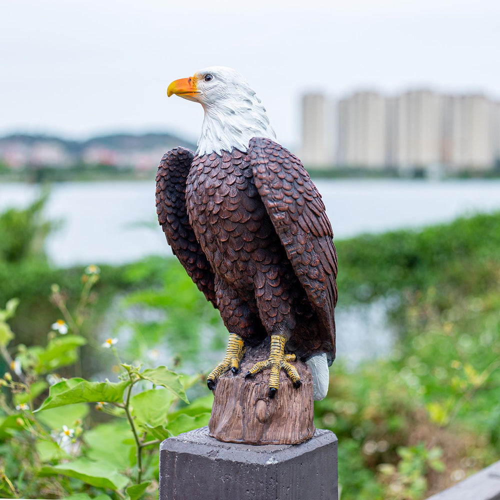 SHAODIE front view of eagle sculpture showing lifelike posture and curb appeal