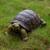 SHAODIE garden turtle front view showing lifelike detail and curb appeal