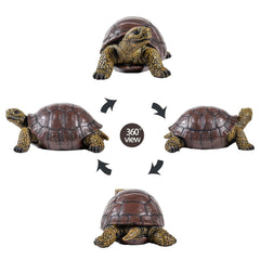SHAODIE turtle placed in garden bed adding natural charm and contrast