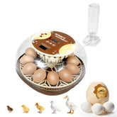ShellBr8ker Nest I front view showing compact incubator and benefit of small-batch hatching