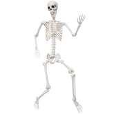 SHOCOSTO front view packaged skeleton shows full height and easy setup benefit