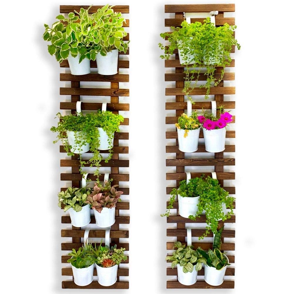 ShopLaLa front view of wall planter showing vertical display and tidy look