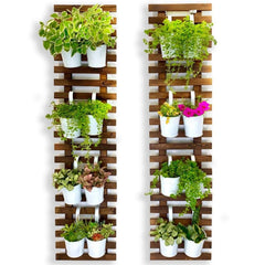 ShopLaLa front view of wall planter showing vertical display and tidy look