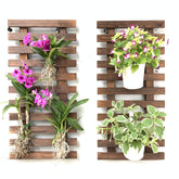 ShopLaLa wall planter front view showing clean vertical wooden display and plant benefit