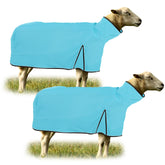 Silkfly blanket front on sheep showing fit and protection benefits