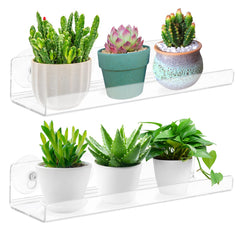 Skewo front view of 15 inch clear shelf showcasing neat plant display and extra space
