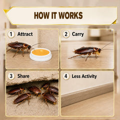 SKIXPVV pack tucked behind a refrigerator to reduce roach traffic