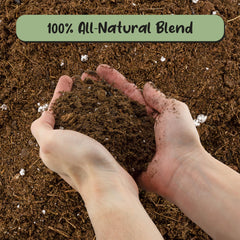 Soil Sunrise closeup texture displaying airy particles that improve aeration