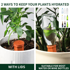 Soilagua size comparison beside a bottle illustrating scale and easy bottle compatibility