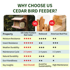 Solution4Patio clear window view to easily check seed levels and attract birds