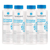SpaGuard front packaging showing 14 oz 4-pack and clear usage labeling for easy maintenance