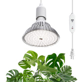 SpeePlant front view of bulb packaging showing compact design and benefits