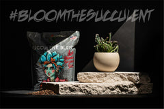 Spike & Bloom gritty soil close-up showing airy texture and drainage benefit