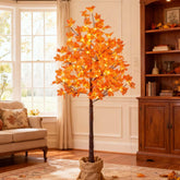 SPIRIT STAR CHRISTMAS CENTER front view showing 6ft maple tree and warm glow