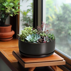 SQOWL saucer and pot side profile illustrating fit and mess-free watering benefit