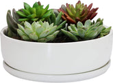 SQOWL front view of white ceramic planter showing clean modern look and stable base