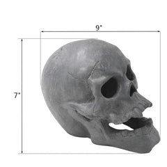 Stanbroil skull close-up texture highlighting heatproof cement detail