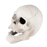 Stanbroil skull front view showing sculpted face and flame openings for drama