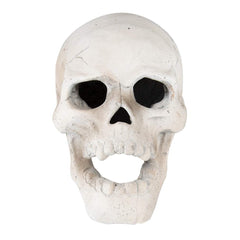 Stanbroil skull glowing in a fire pit creating spooky illuminated effects