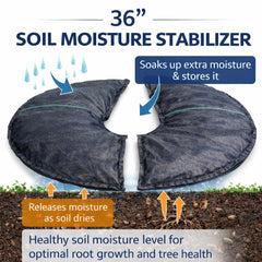 SteadySpring installed around a tree root ball showing reduced watering needs