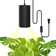 STERREN front pendant view showing sleek lamp and plant benefit
