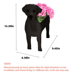 strolfay black labrador side profile highlighting realistic shape and balance