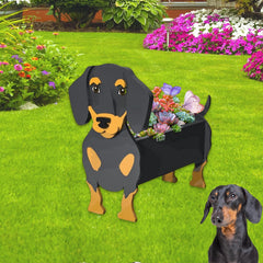 strolfay dachshund front view showing whimsical shape and charming display benefit