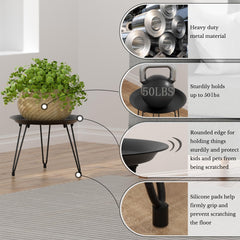 SUEH DESIGN stand holding a potted plant in a living room for elevated display
