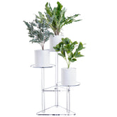 Sumerflos front view showing clear acrylic shelves and modern benefit
