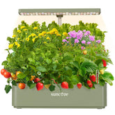 SUNCOZE front view of compact hydroponic garden showing tidy 12 pods and control panel for easy indoor growing