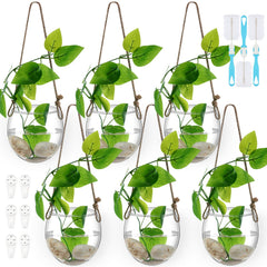 Sunnychicc front view of six hanging glass planters showing elegant display and space-saving benefit
