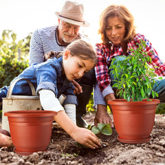 Sunnychicc size scale with ruler illustrating 12-inch diameter planting space